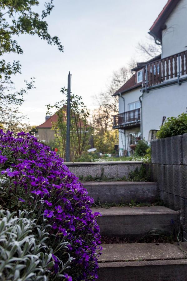 Gaestehaus Bechtloff Meissen Exterior photo